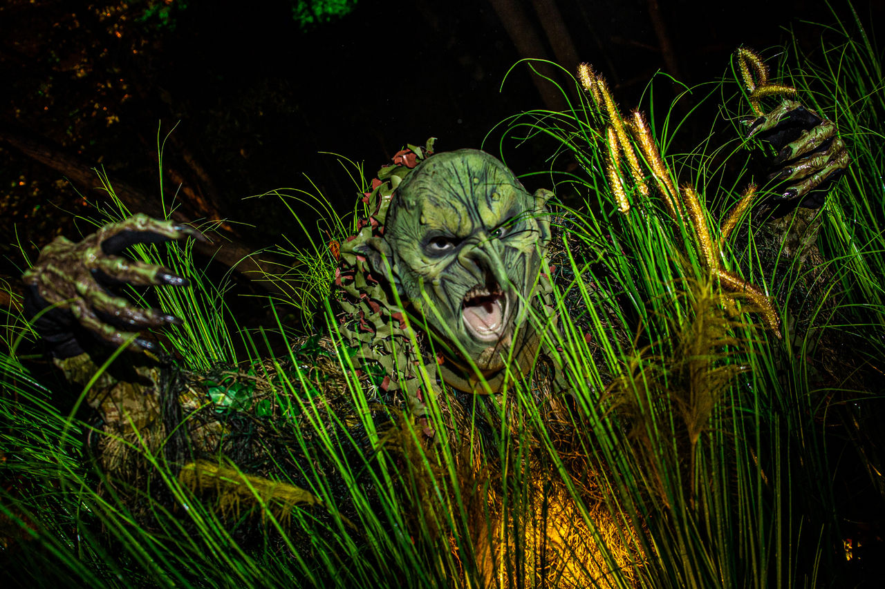 Durf jij door het bos van Wicked Woods te lopen? - Walkthrough - Halloween Fright Nights